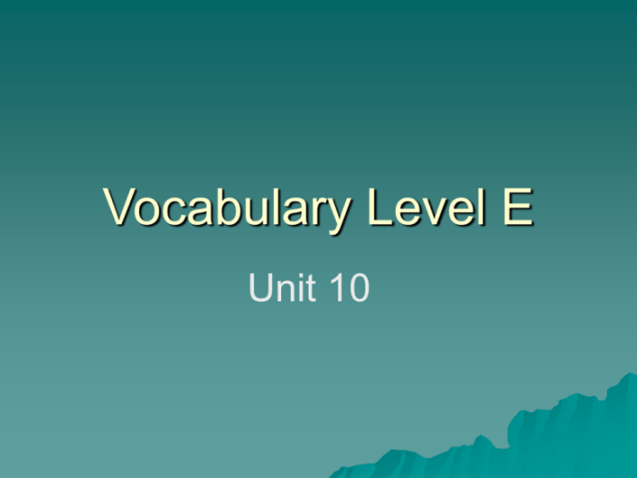 Vocabulary level e unit 12 answers