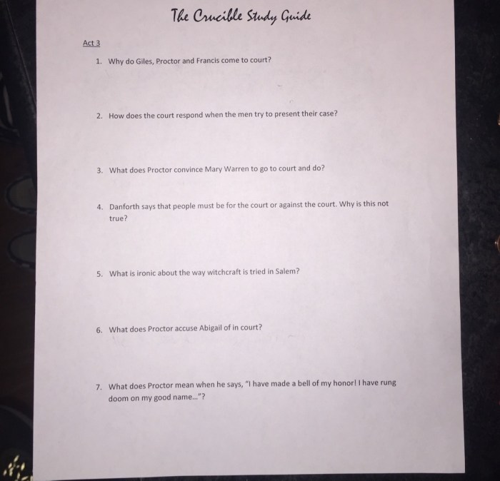 The crucible act 3 reading guide