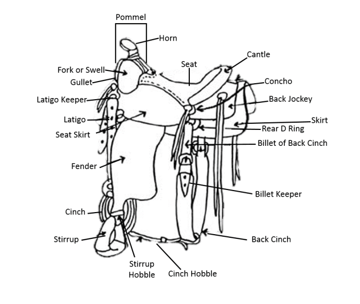 Parts to a western saddle