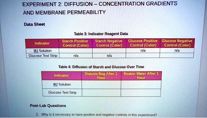 Experiment 2 concentration gradients and membrane permeability