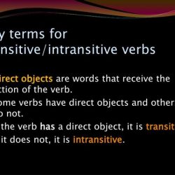 Lesson 5 verbs action transitive intransitive answer key