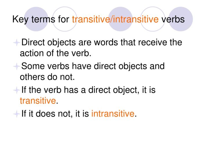 Intransitive transitive verb exercises