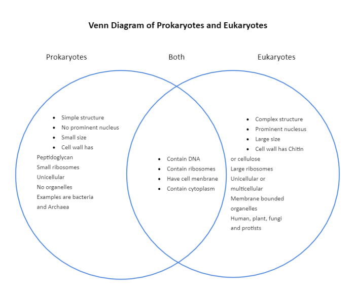 Create a venn diagram comparing prokaryotic and eukaryotic cells